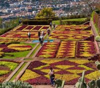 Photos - Madeira Canico Bay